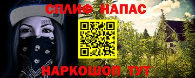 дмт Будённовск