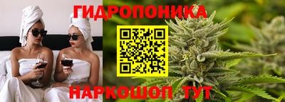 дмт Будённовск